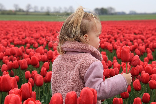 dievča medzi tulipánmi
